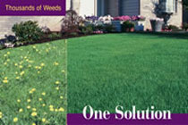 TruGreen image3 jpg