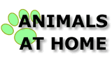 Animals at Home  image