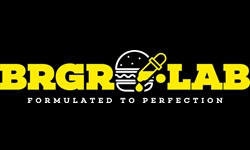 BRGR LAB  logo