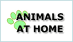 Animals at Home image