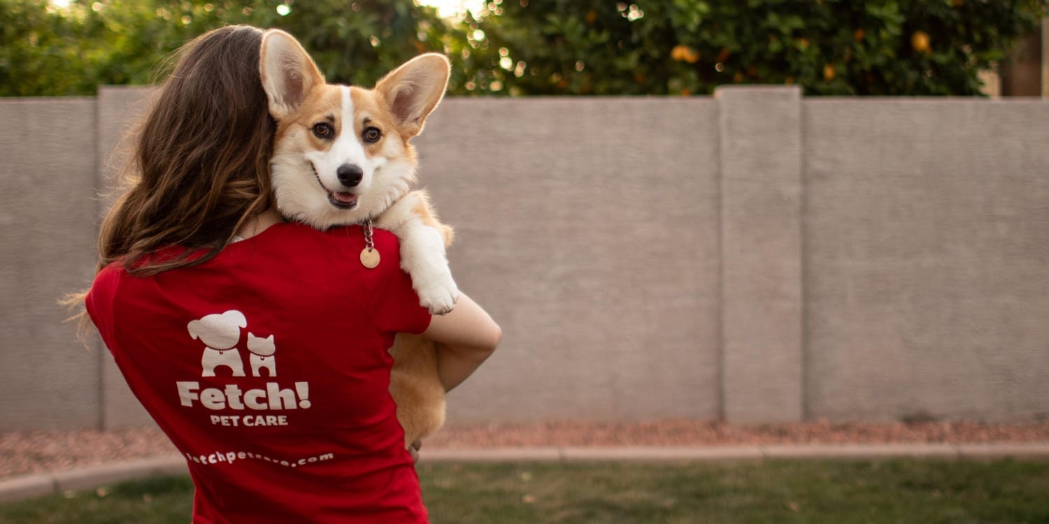 fetch franchise owner carrying dog