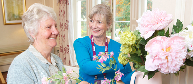 Home Instead Senior Care Ireland Franchise Business Opportunity Elderly Care Senior Residential Help Domestic Care Opportunity