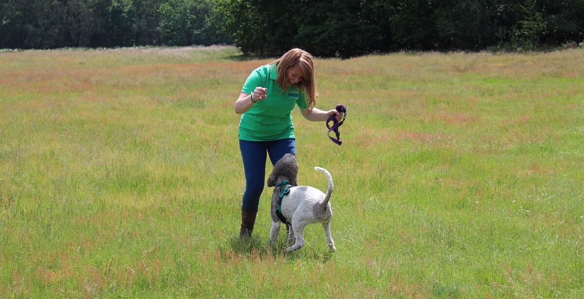 Petpals franchisee with a dog in a field