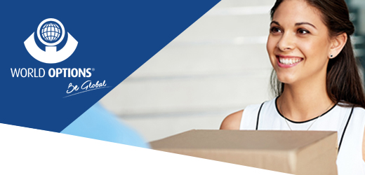 world options franchise business opportunity parcel courier logistics freight delivery homebased shipping SME business services global leader international