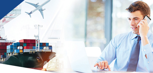 world options franchise business opportunity parcel courier logistics freight delivery homebased shipping SME business services global leader international