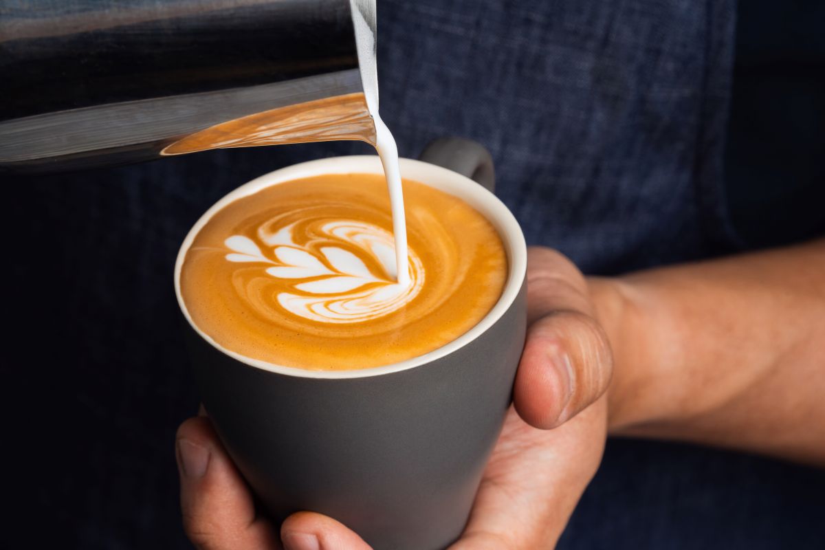 muffin break cafe franchise