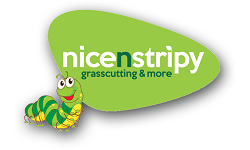 nicenstripy franchise Logo