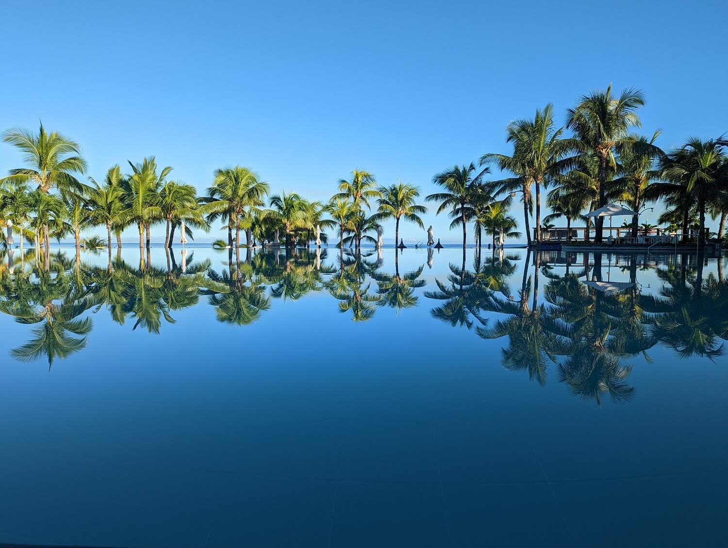 travel franchise group