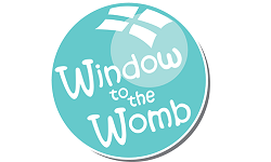 Window to the Womb franchise Logo