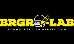 click to visit BRGR LAB  section