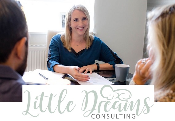 Little Dreams Consulting Franchise Logo Banner