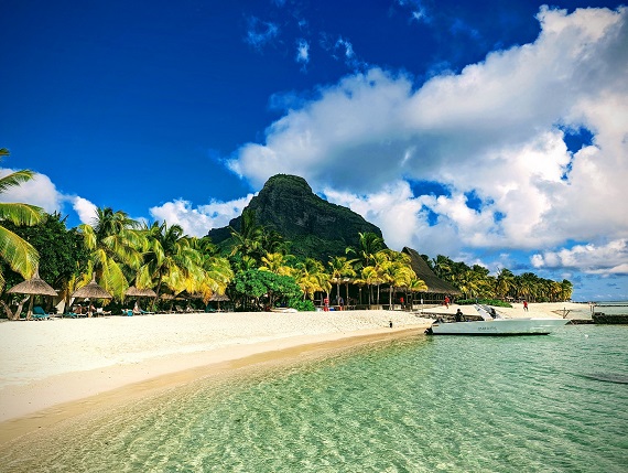 The Travel Franchise franchise banner