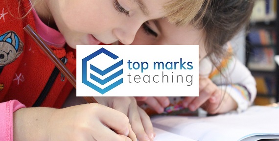 Top Marks Teaching Franchise Logo Banner