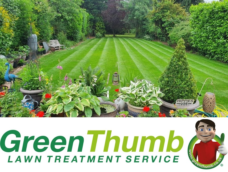 Greenthumb Franchise Banner