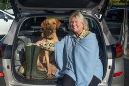 largepropertynest-lynne.jpg