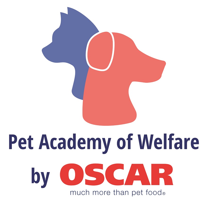 OSCARS-Pet-Academy.jpg