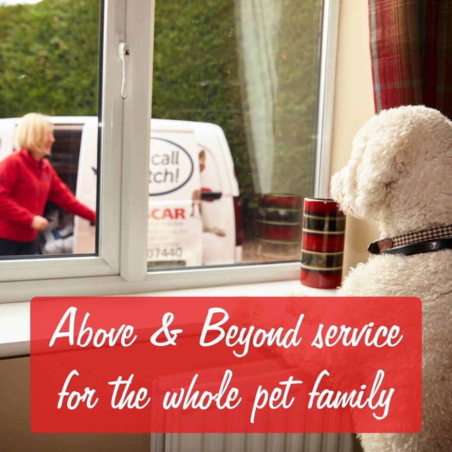 Oscar-Pet-Food-Above-and-beyond.jpg