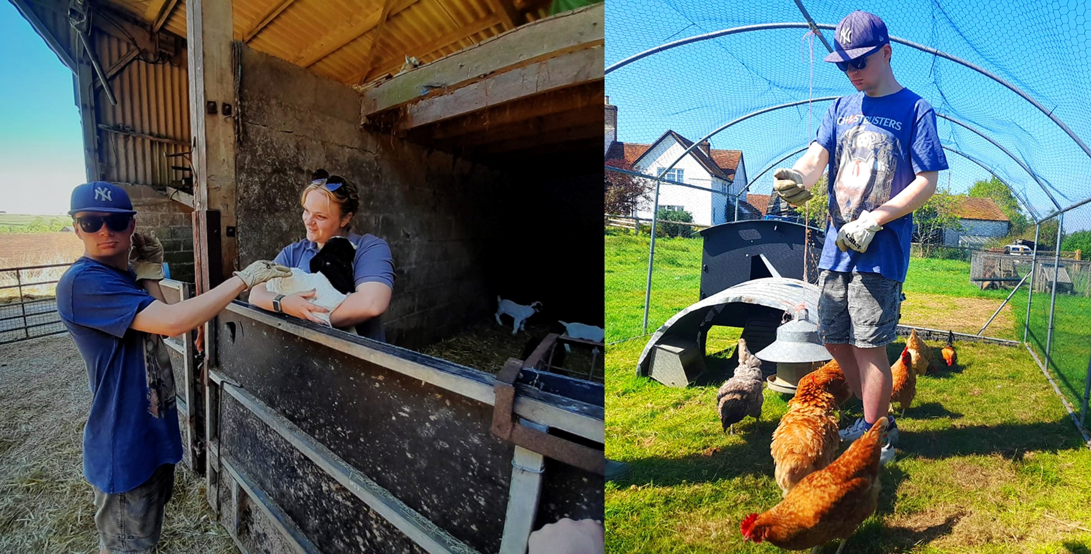 walfinch-farm.jpg