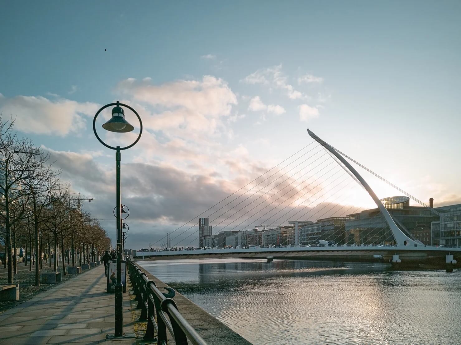 blossom-ireland.jpg