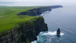 largeblossom-ireland.jpg