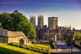 largeblossom-york.jpg