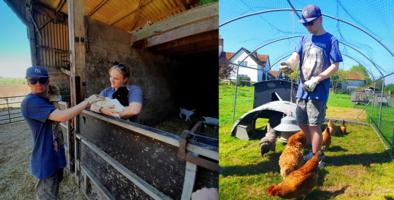 walfinch-farm